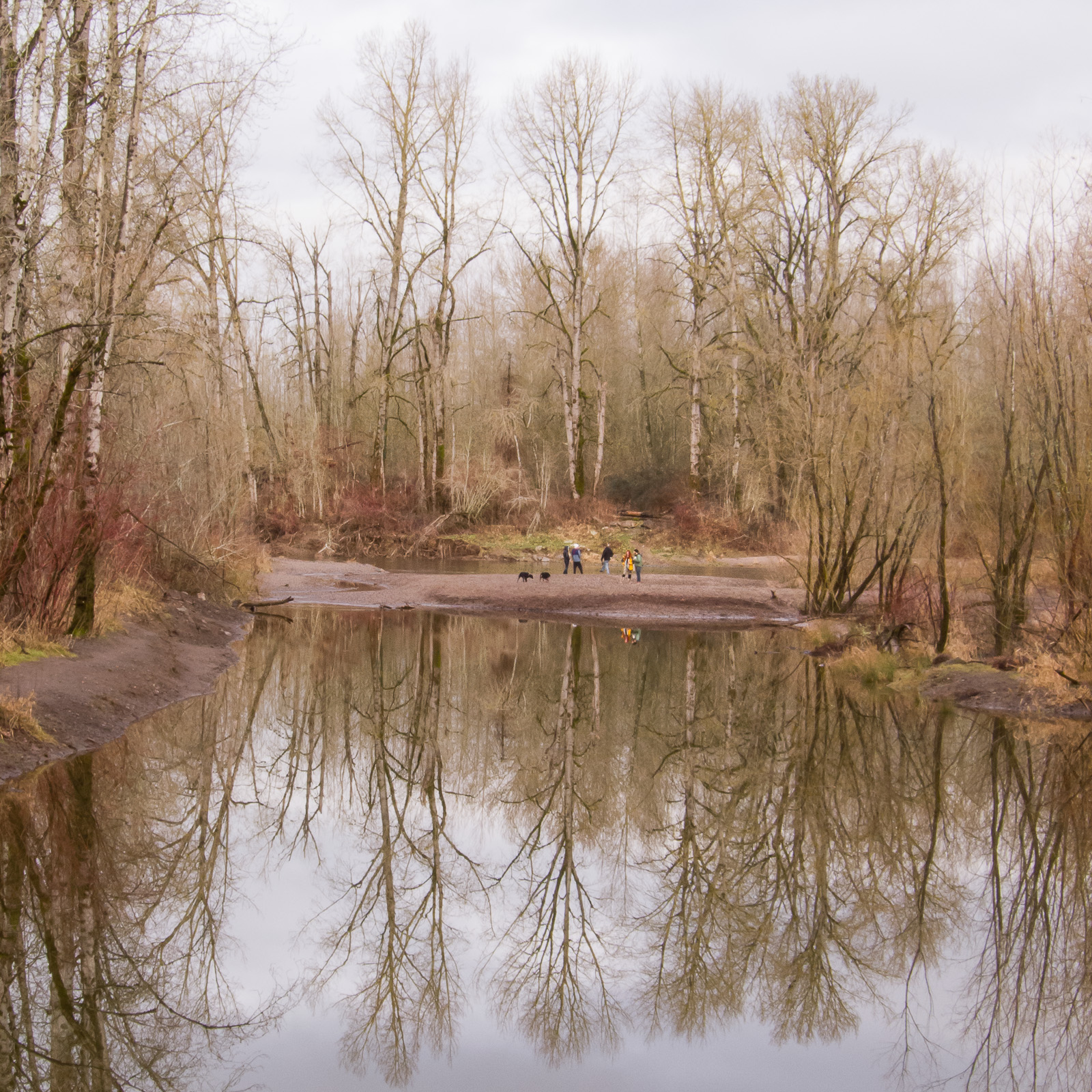 Sandy River Delta