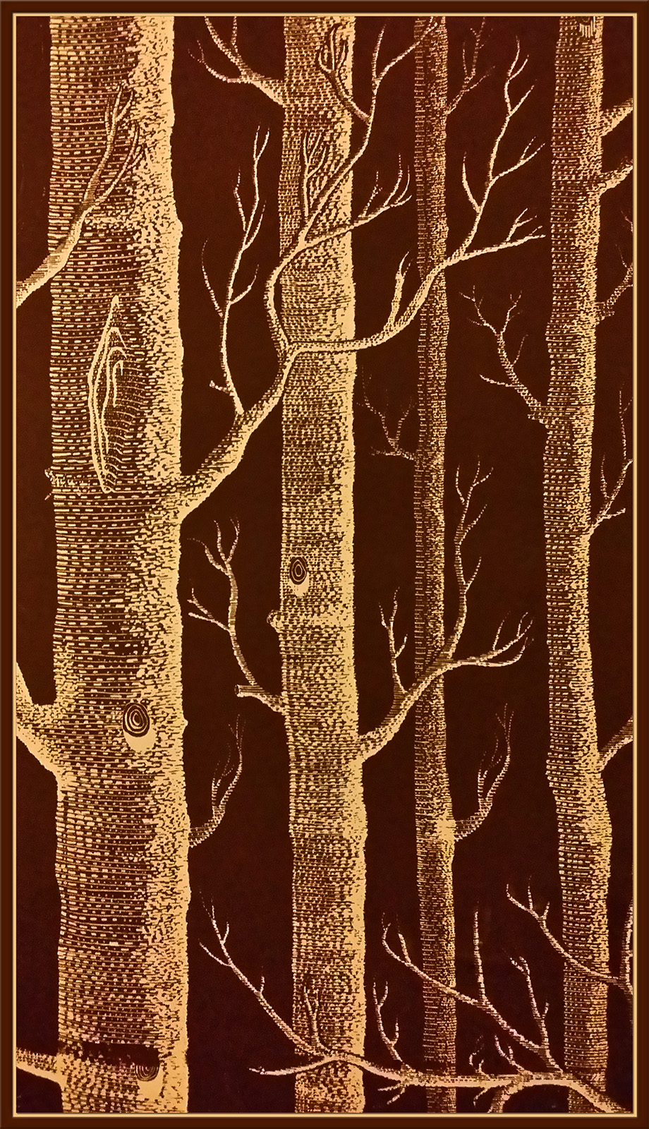 Autumn  Silhouette