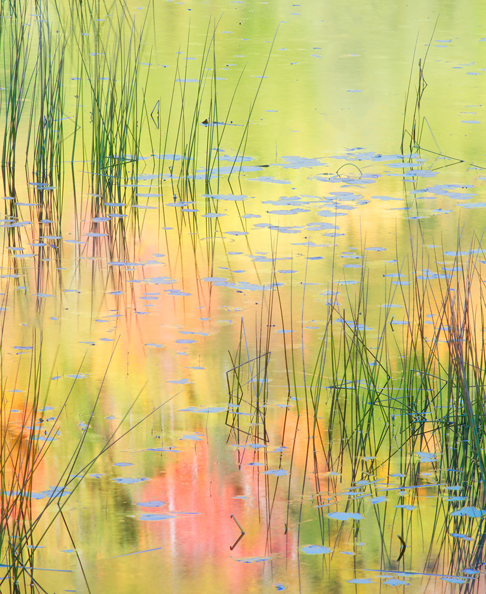 Colors of Acadia #3