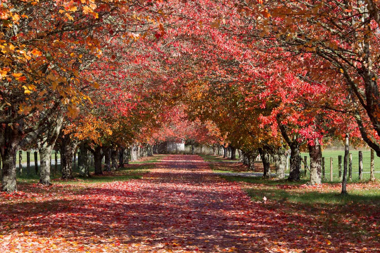 Driveway