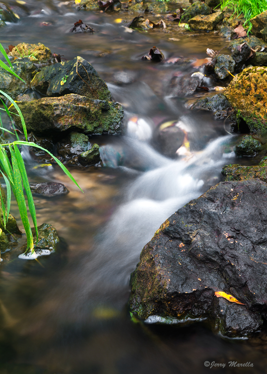 Autumn Creek