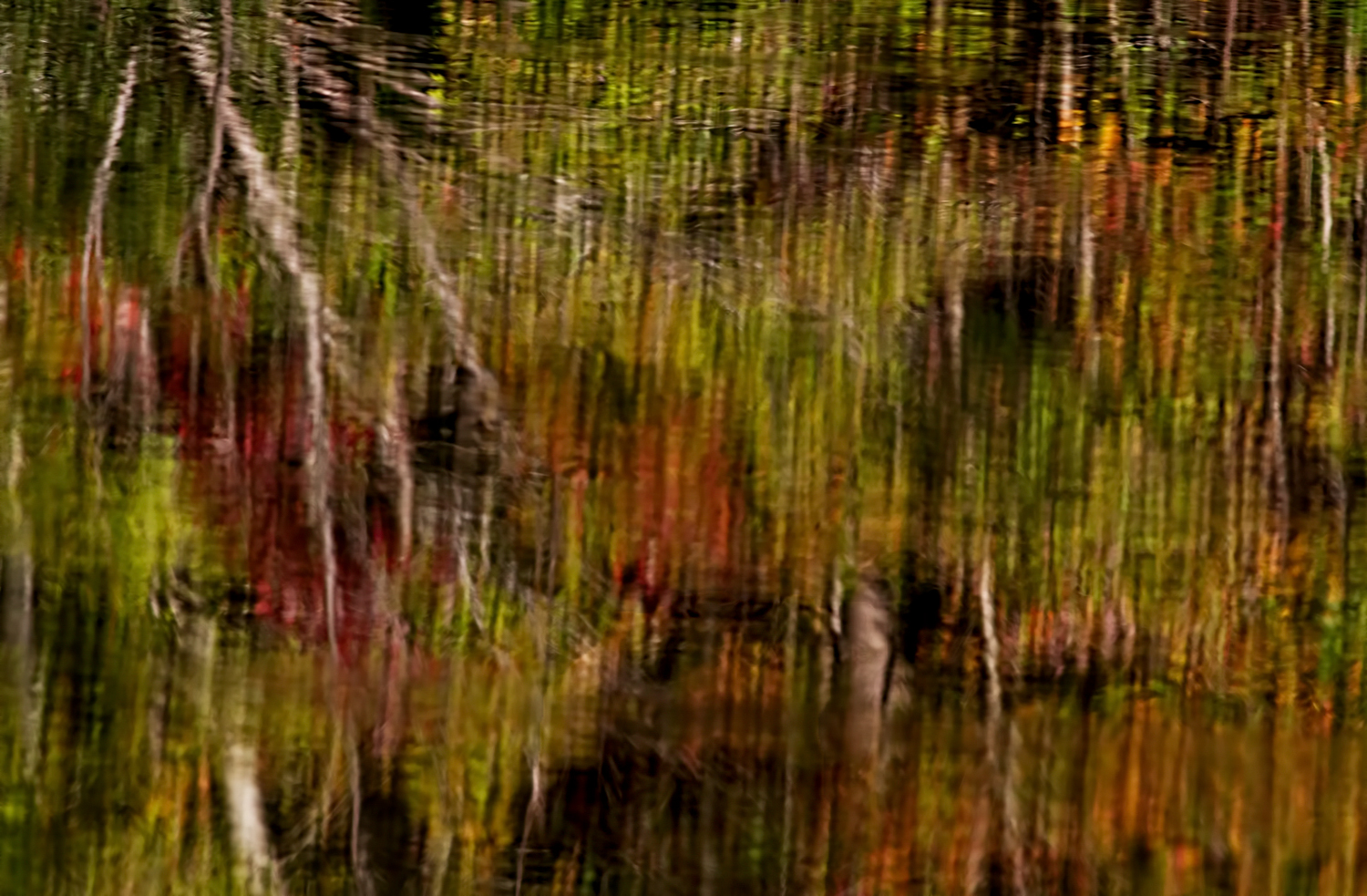 Fall Reflections + redo