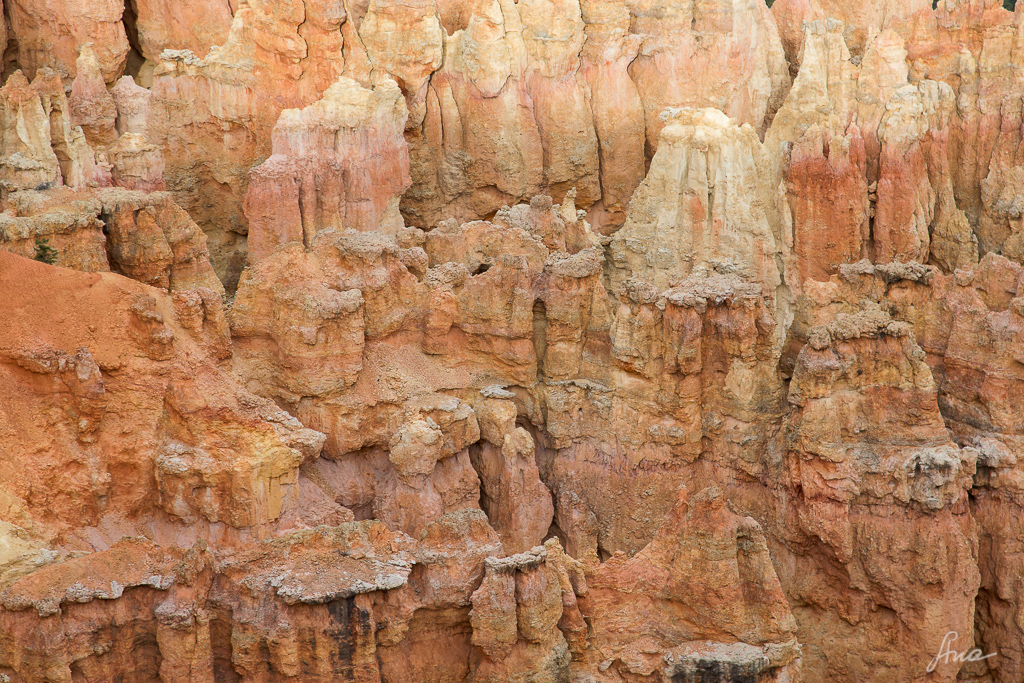 bryce wall detail 