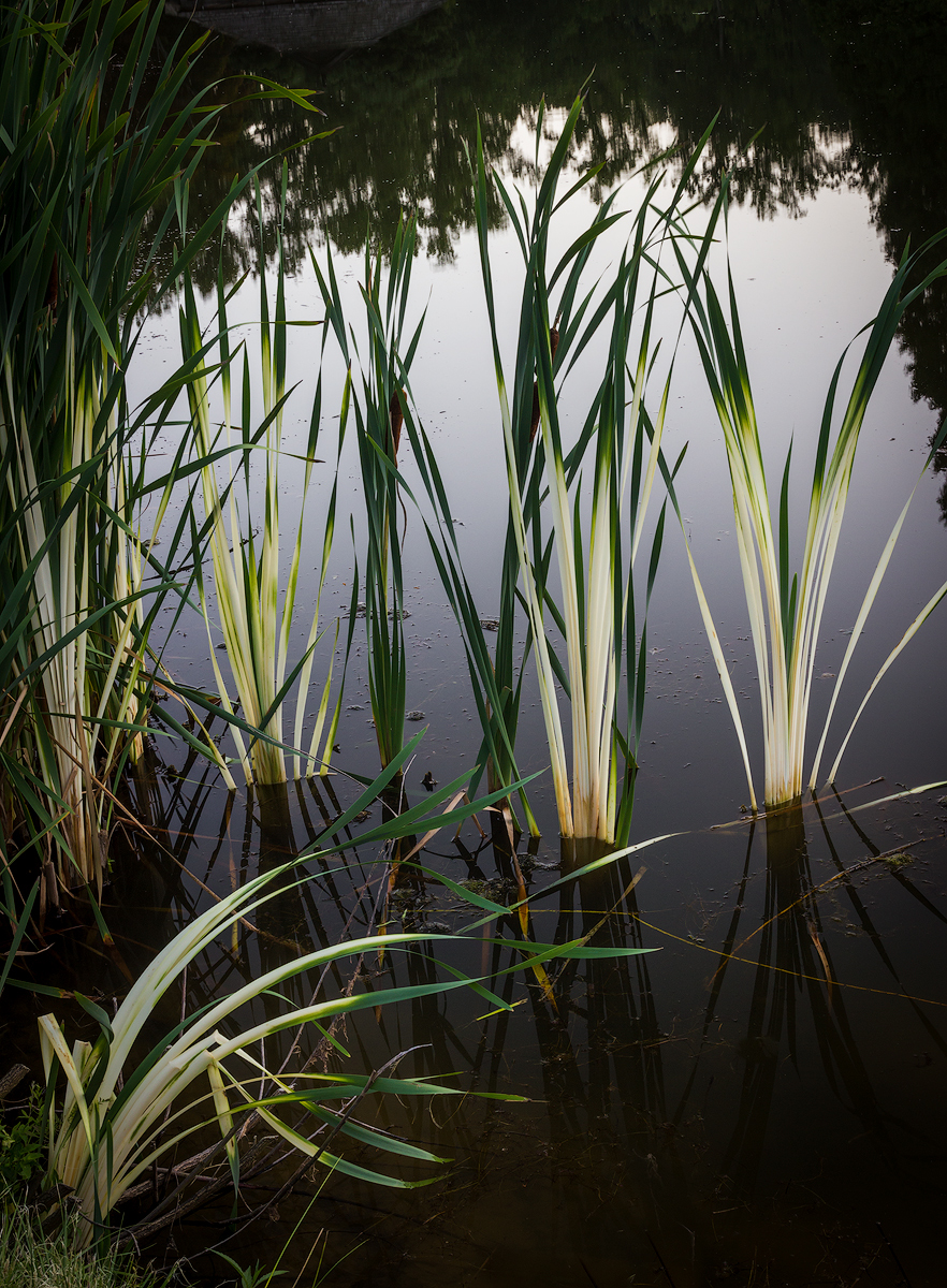 Mute reeds.