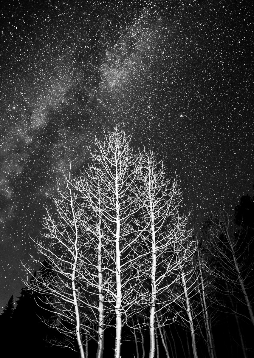 Reach for the Stars