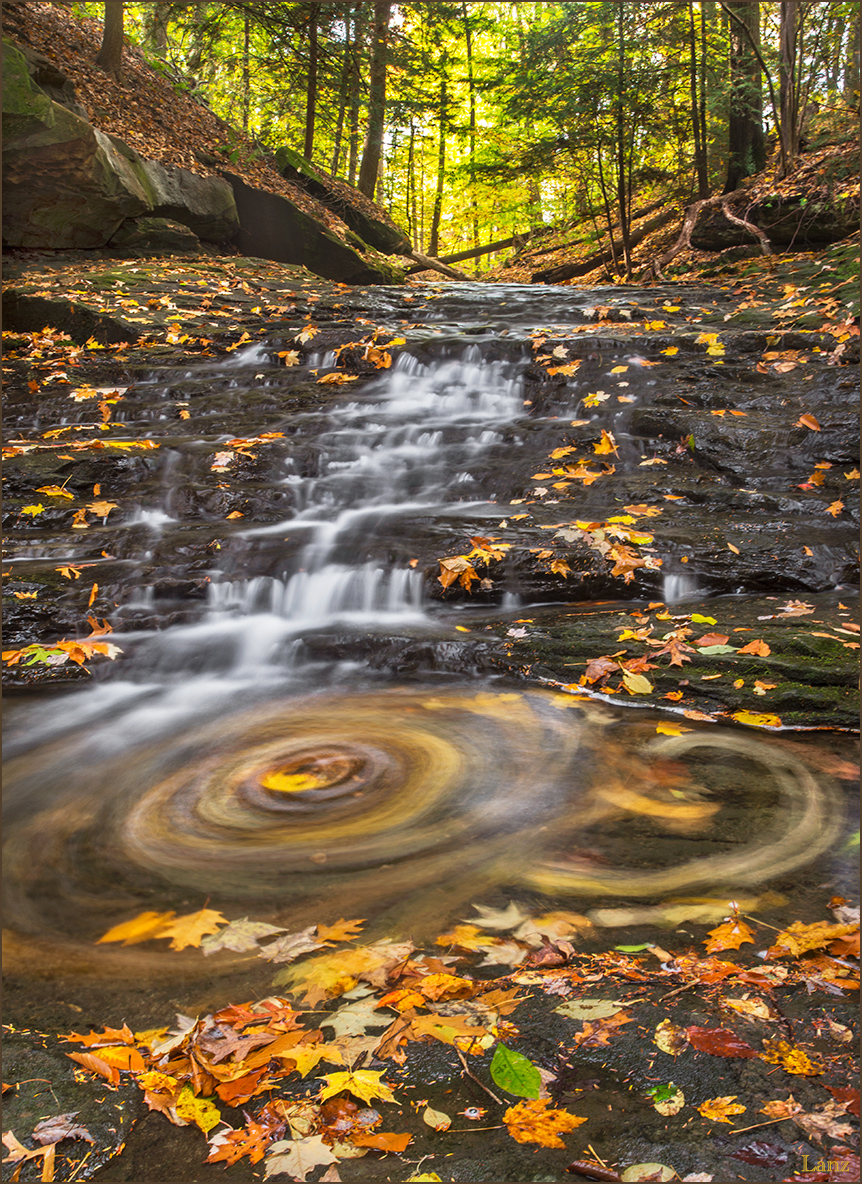 Autumn Swirls