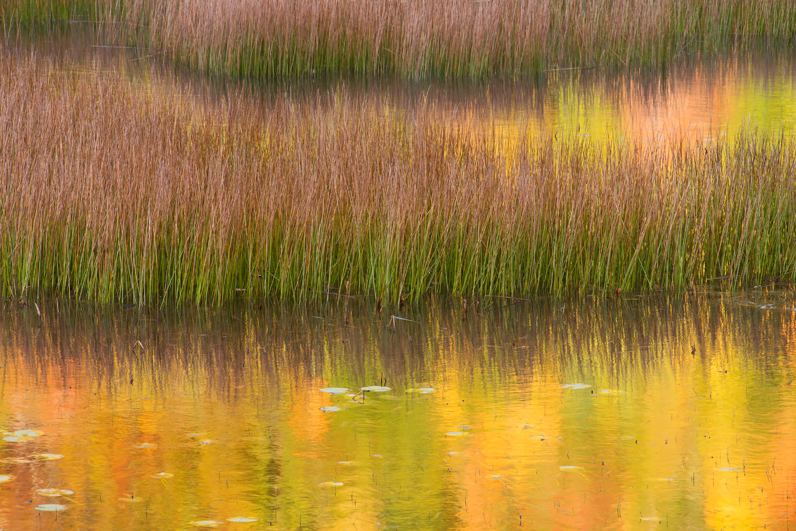 Tarn Layers