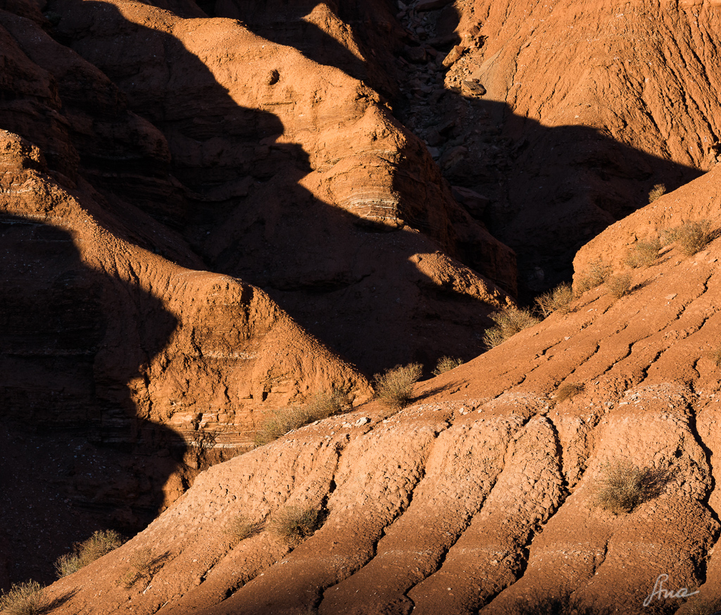 hoodoo shadows