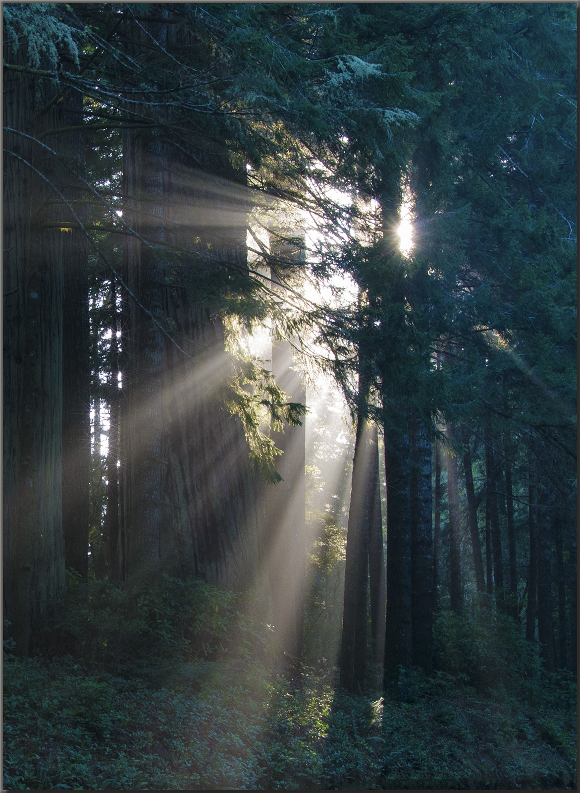 Dawn of a New Day