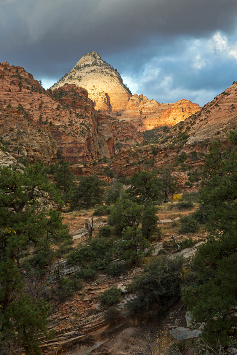 Looking Toward Zion