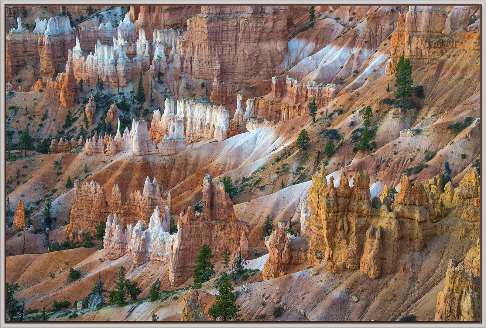 Bryce Hoodoos