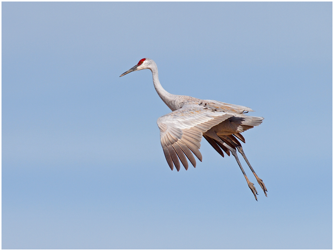 Sandhill Air Brakes