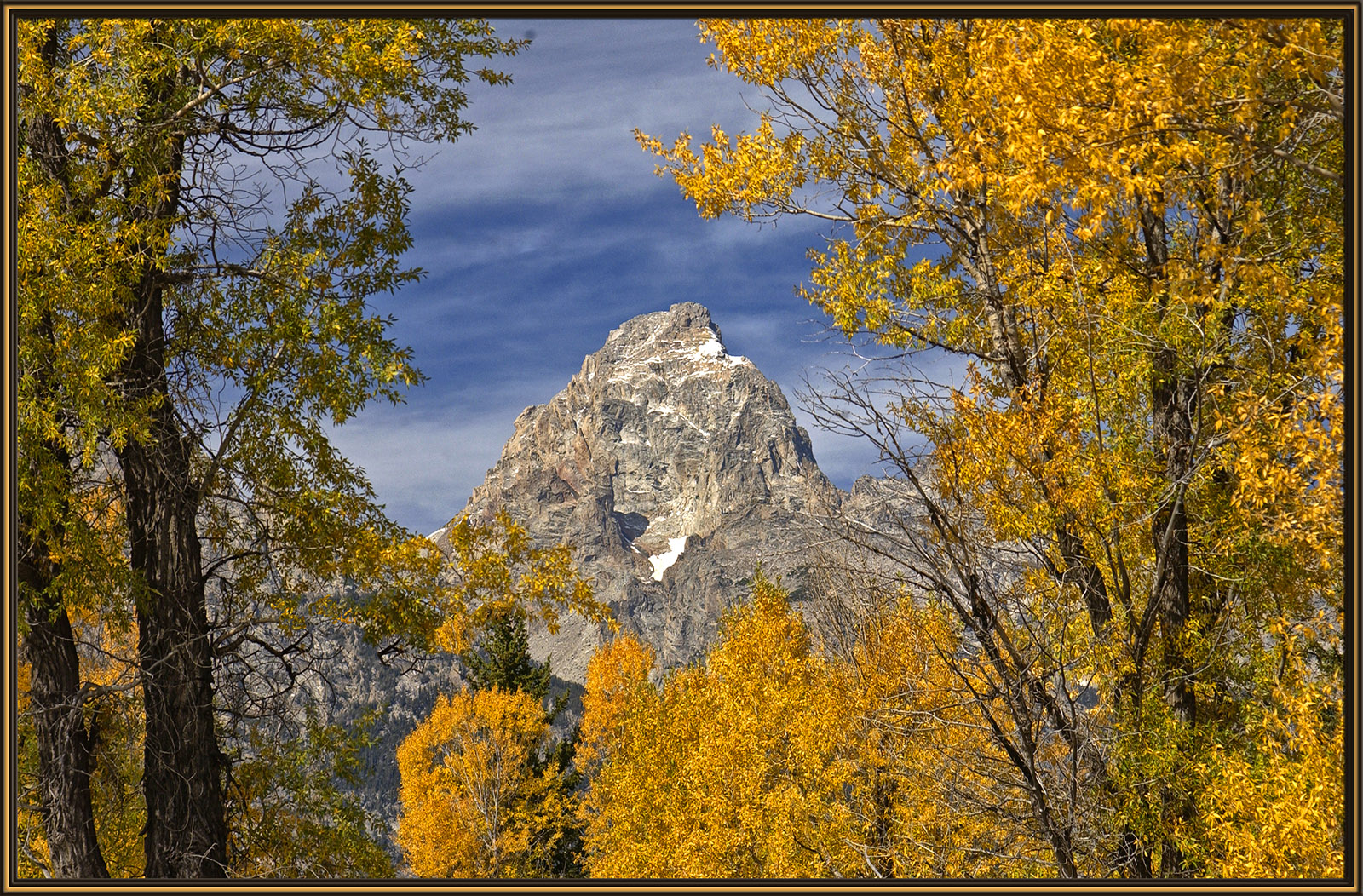 Grand Teton Autumn 