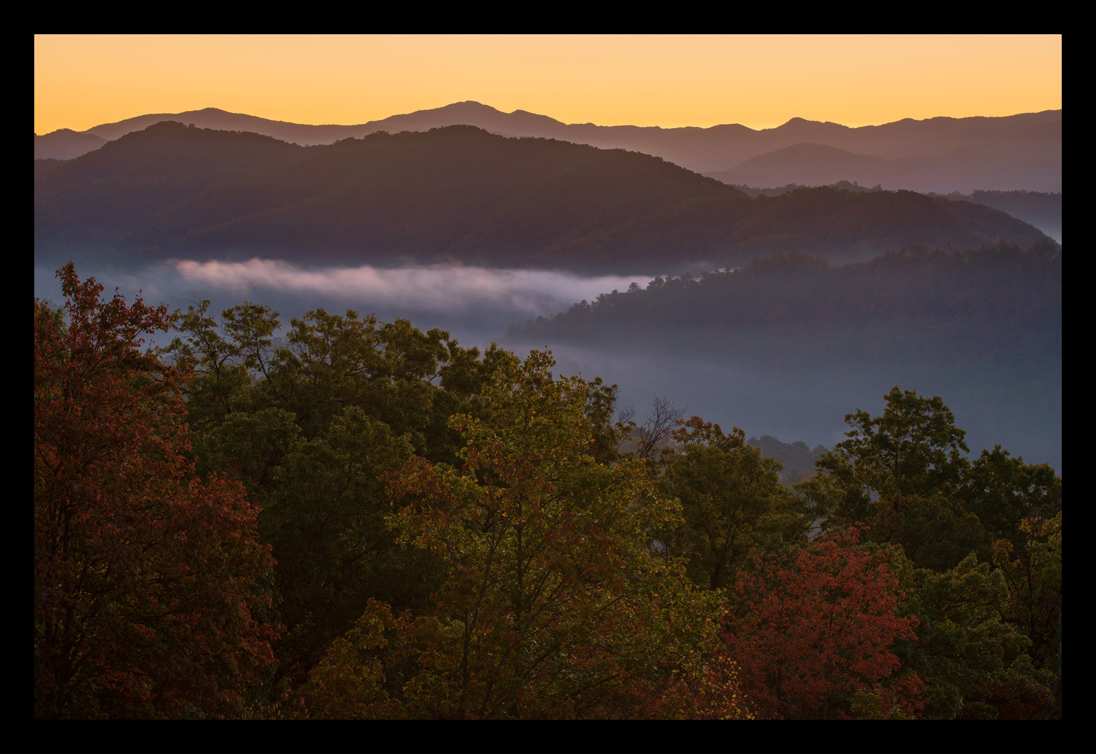 Classic Smokies (Repost)