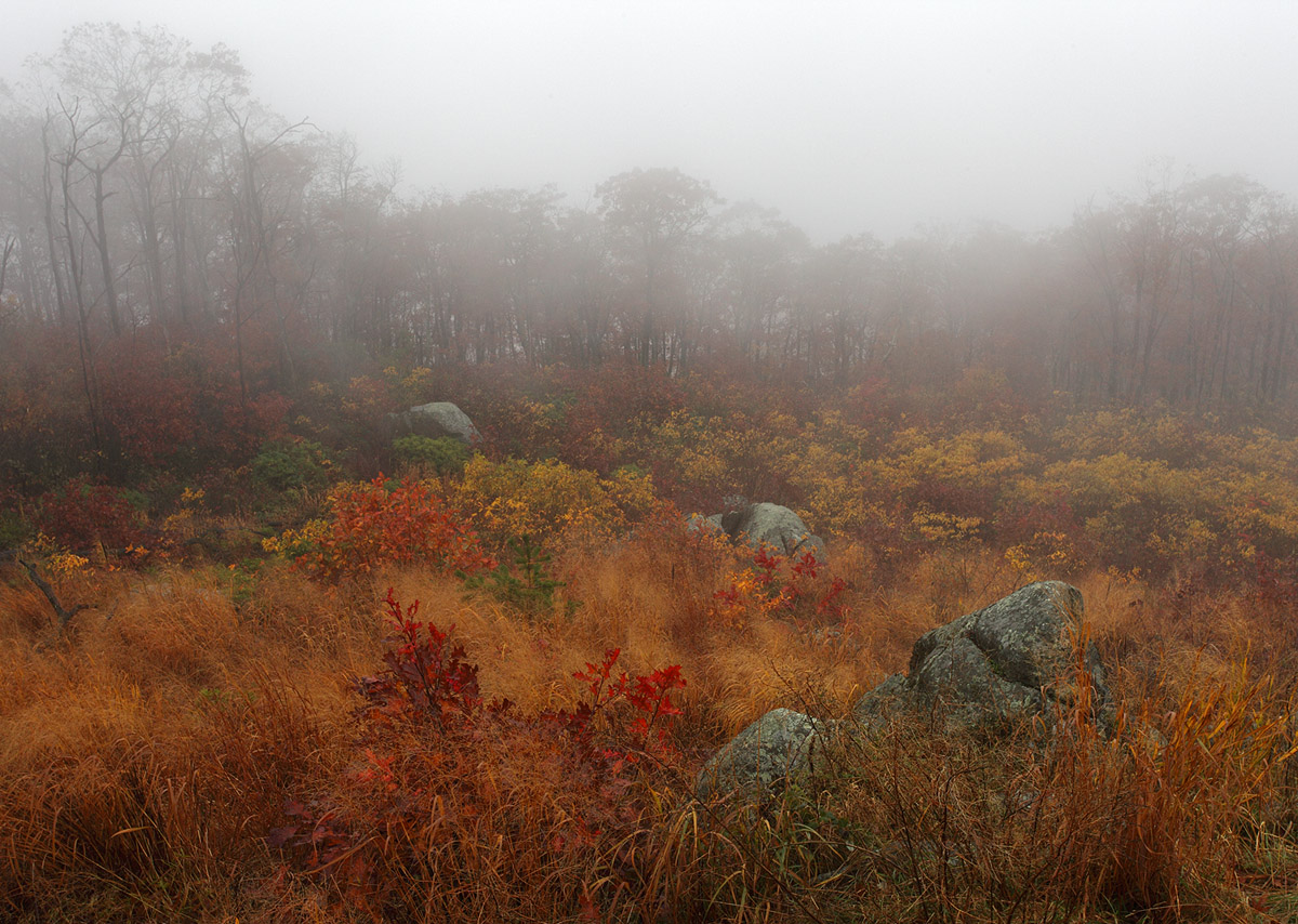 Shenandoah #1 + Repost