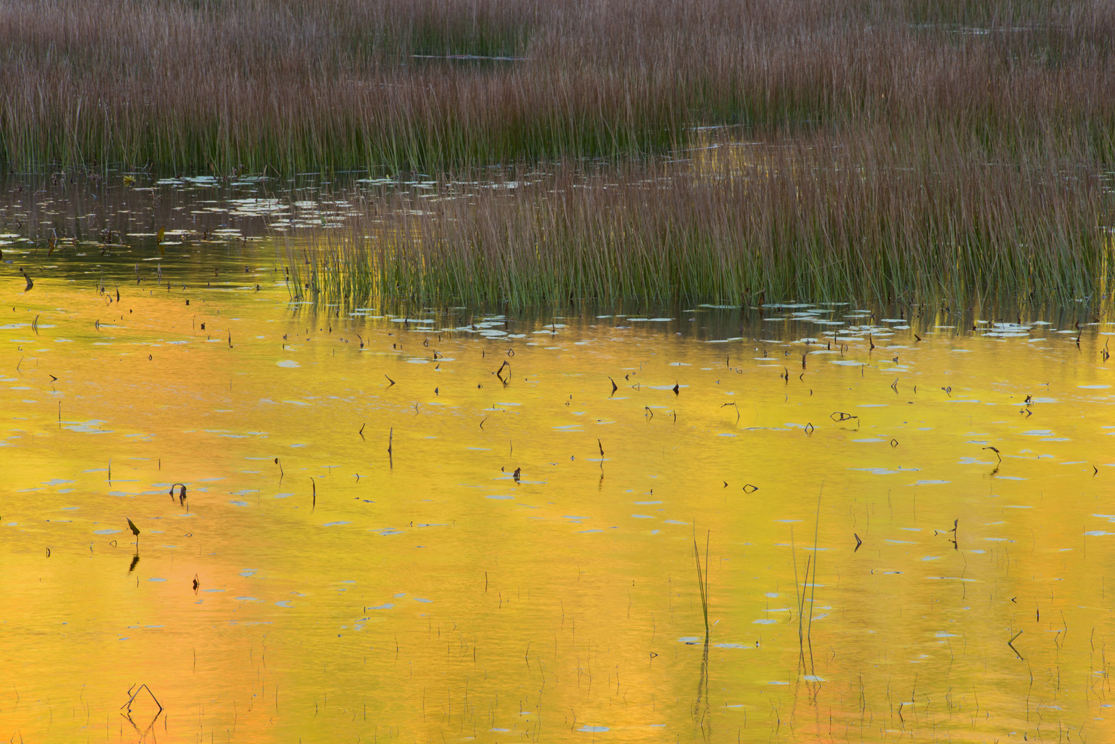One More Tarn