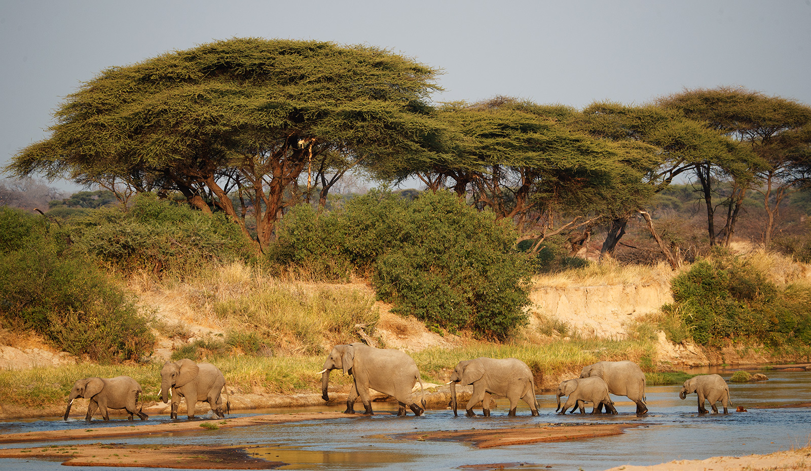 Ruaha Crossing