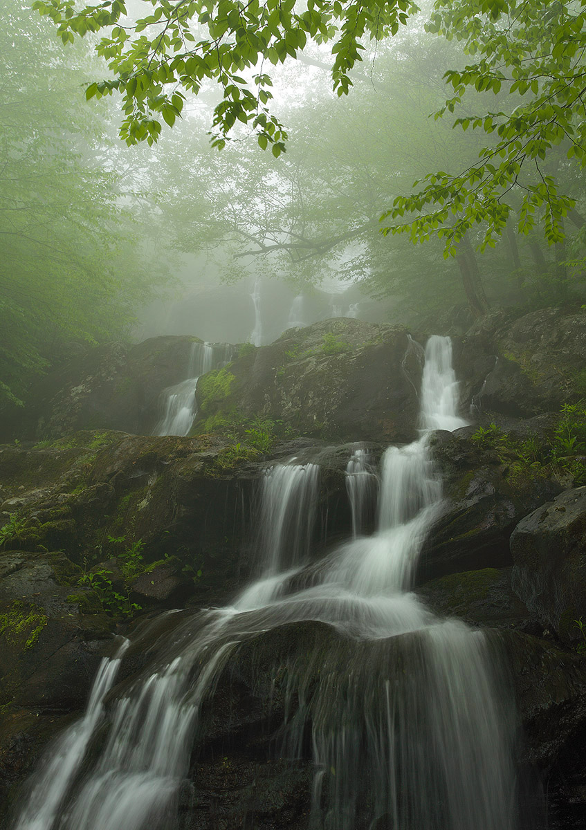 Shenandoah #3