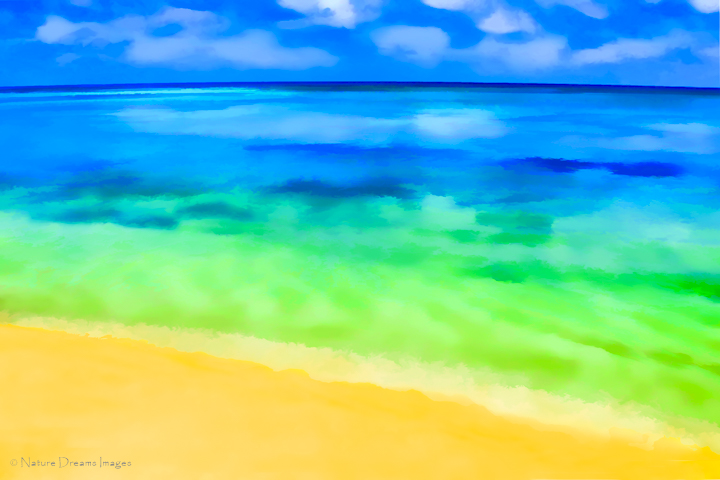 Tonga Ocean Scenic #12
