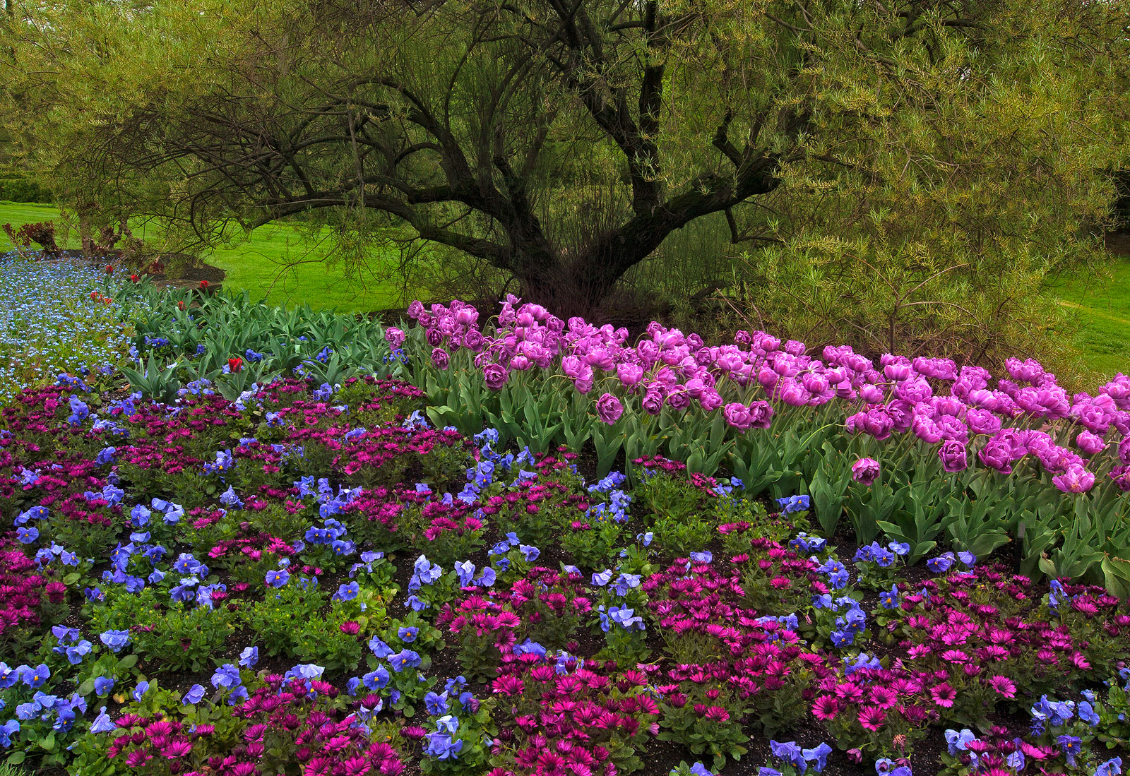 Longwood Gardens