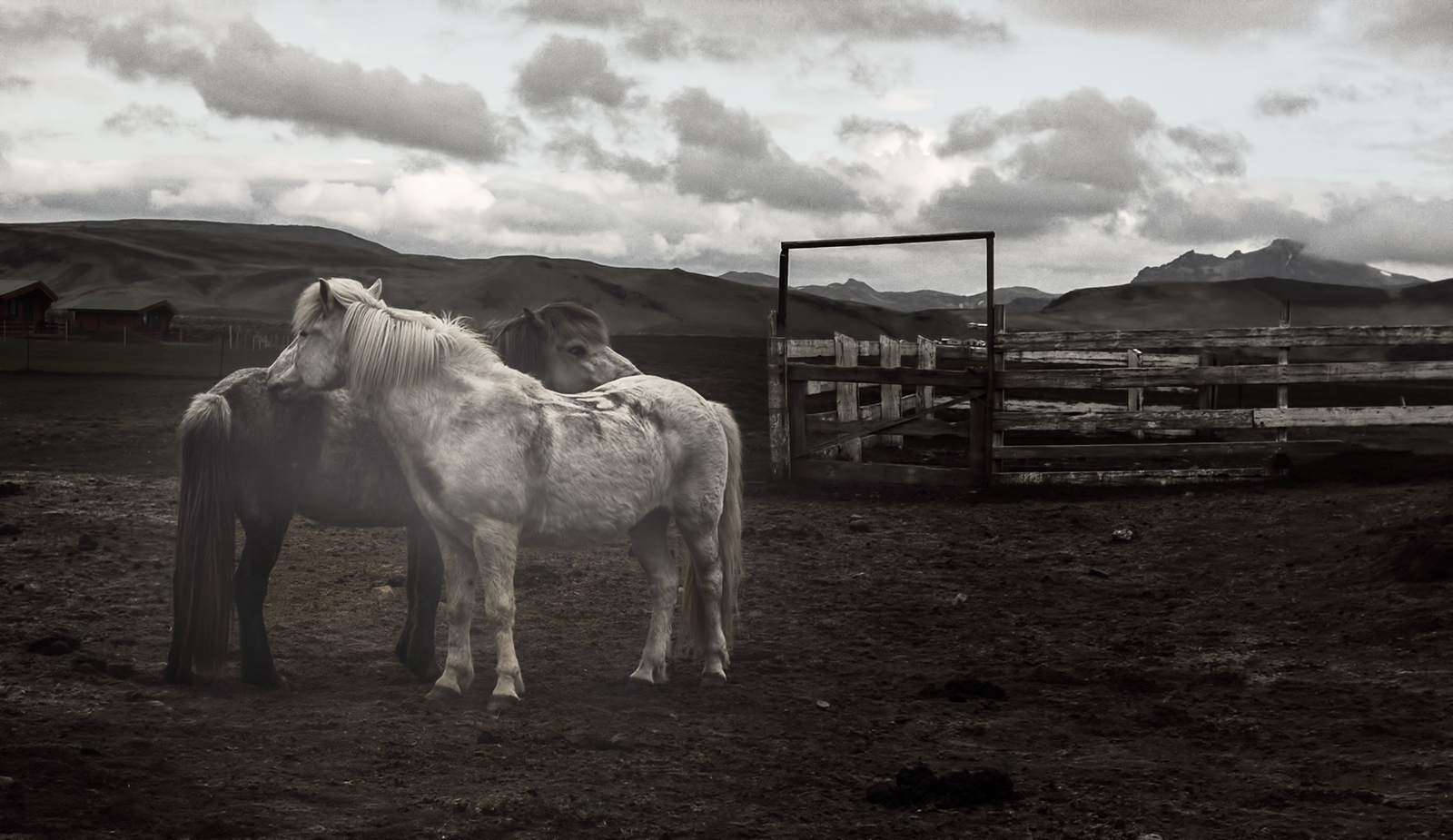 horse Farm