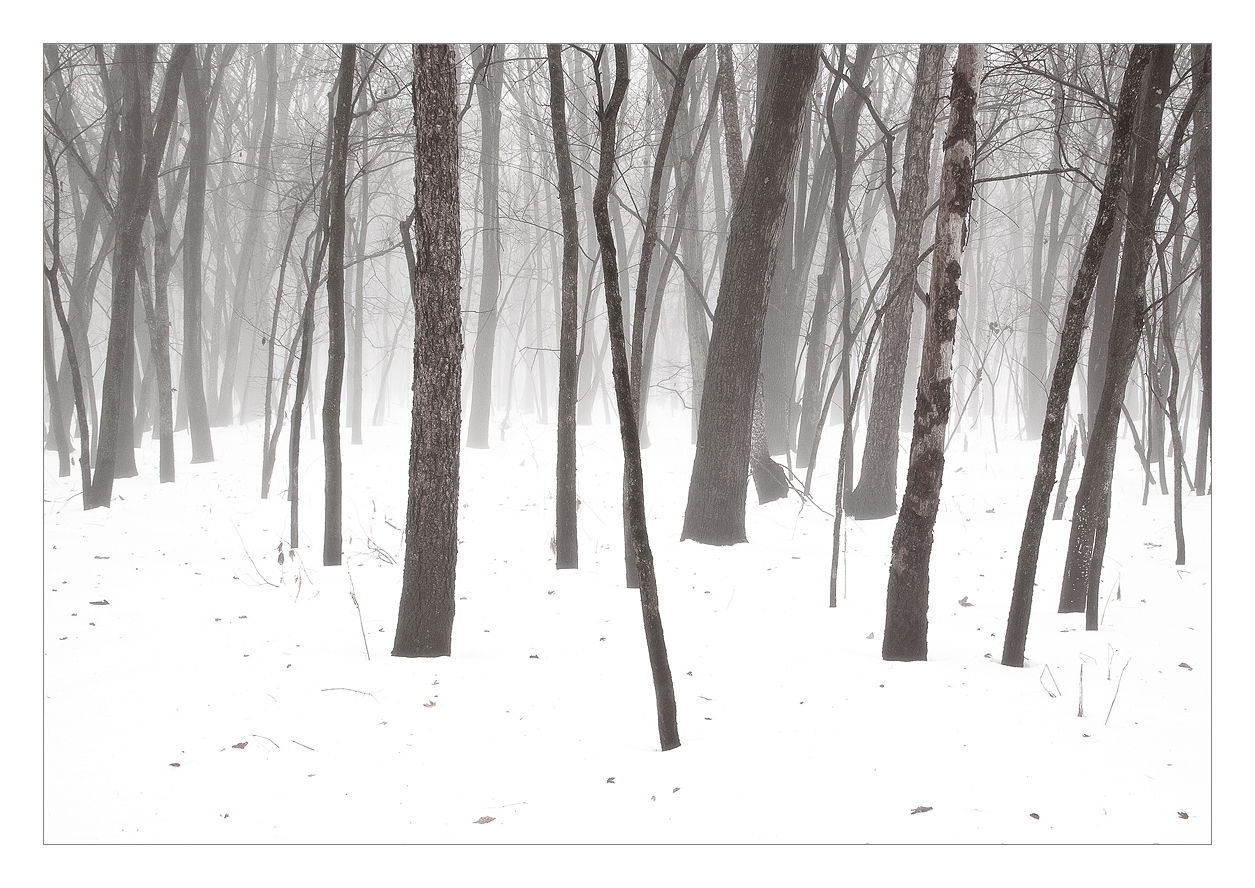 Moody River Bottoms