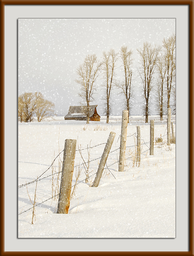 Snowy Icon