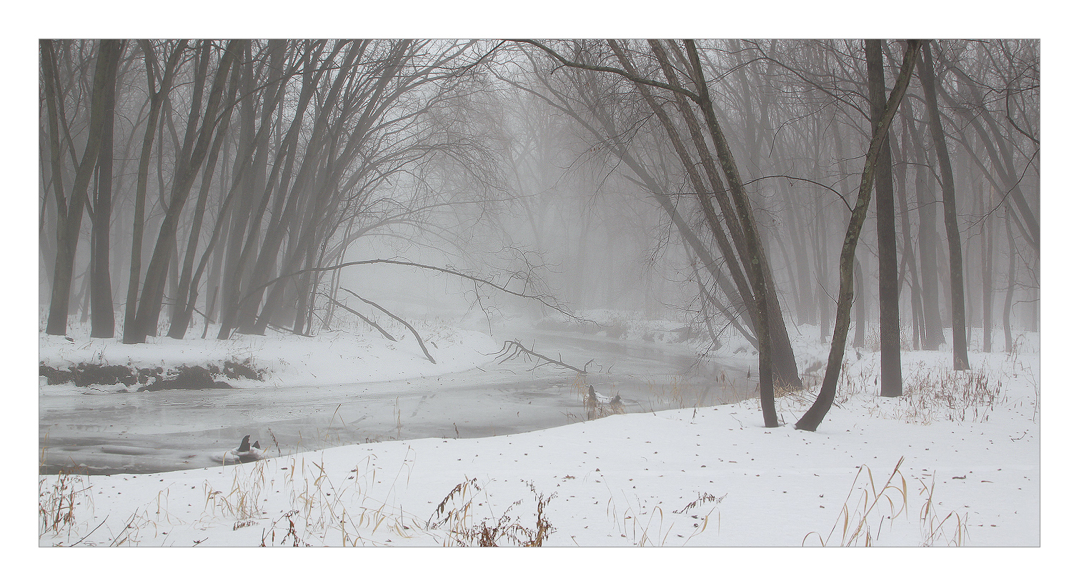 Bear Creek in Winter