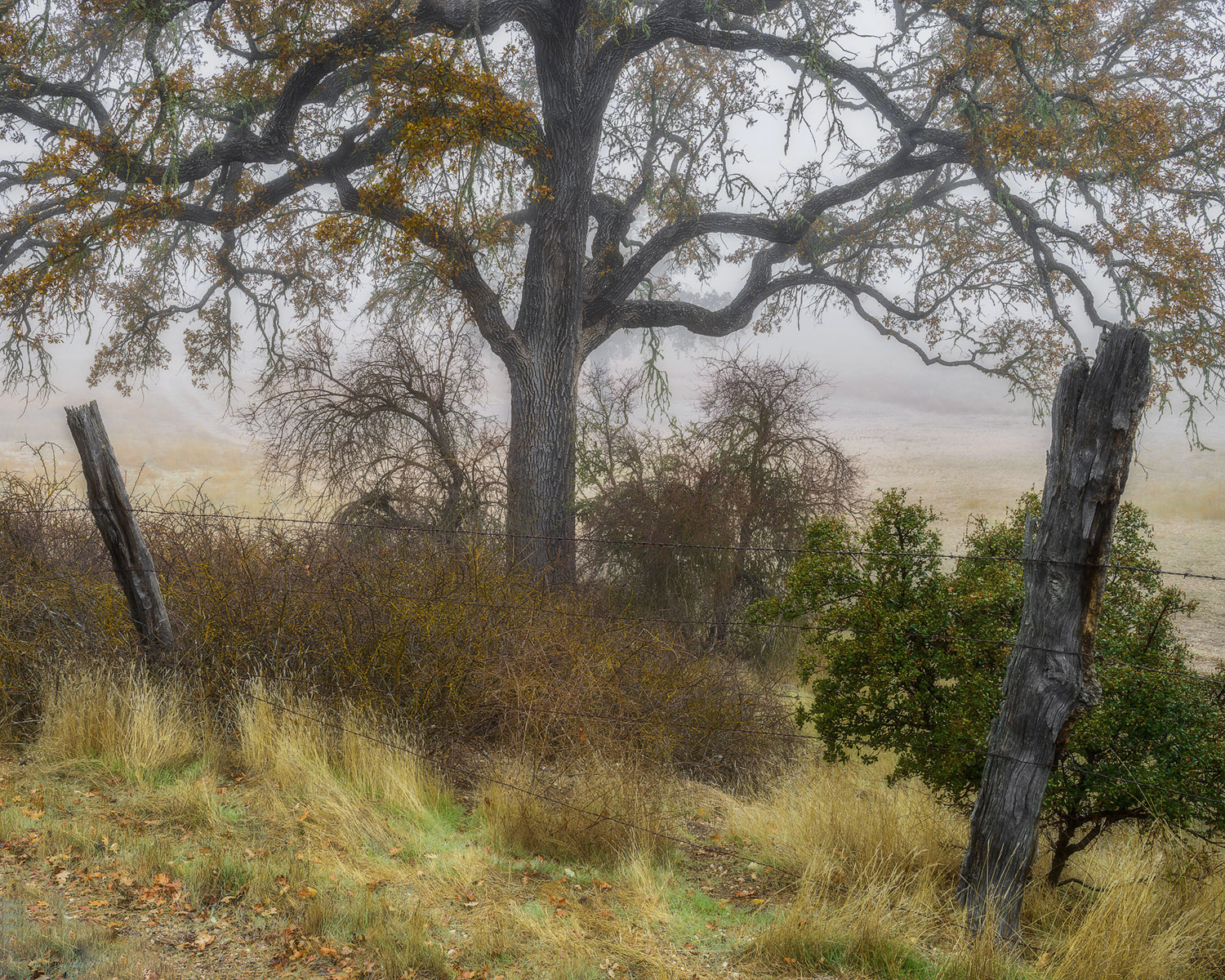 California Country