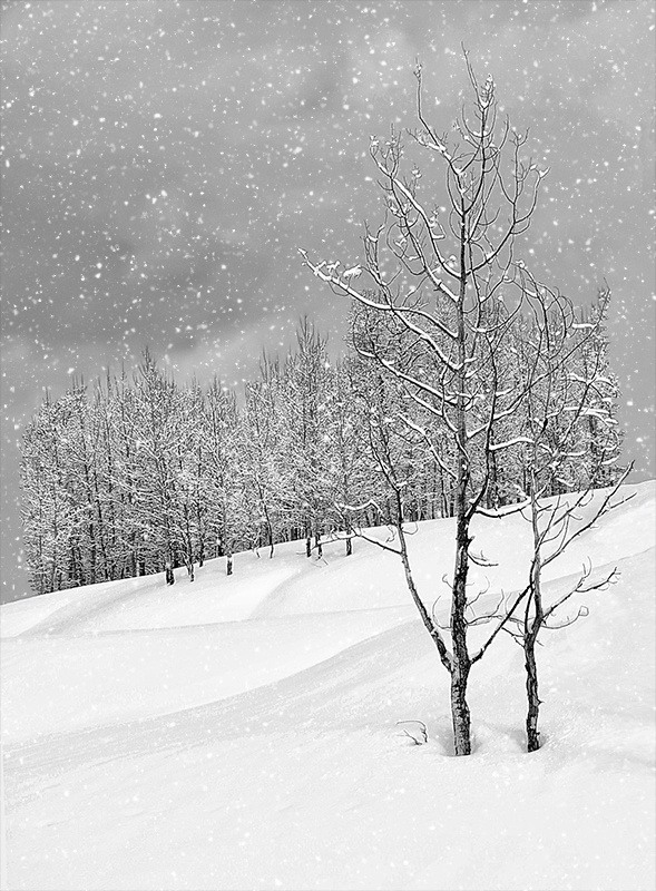 Snow in the Tetons