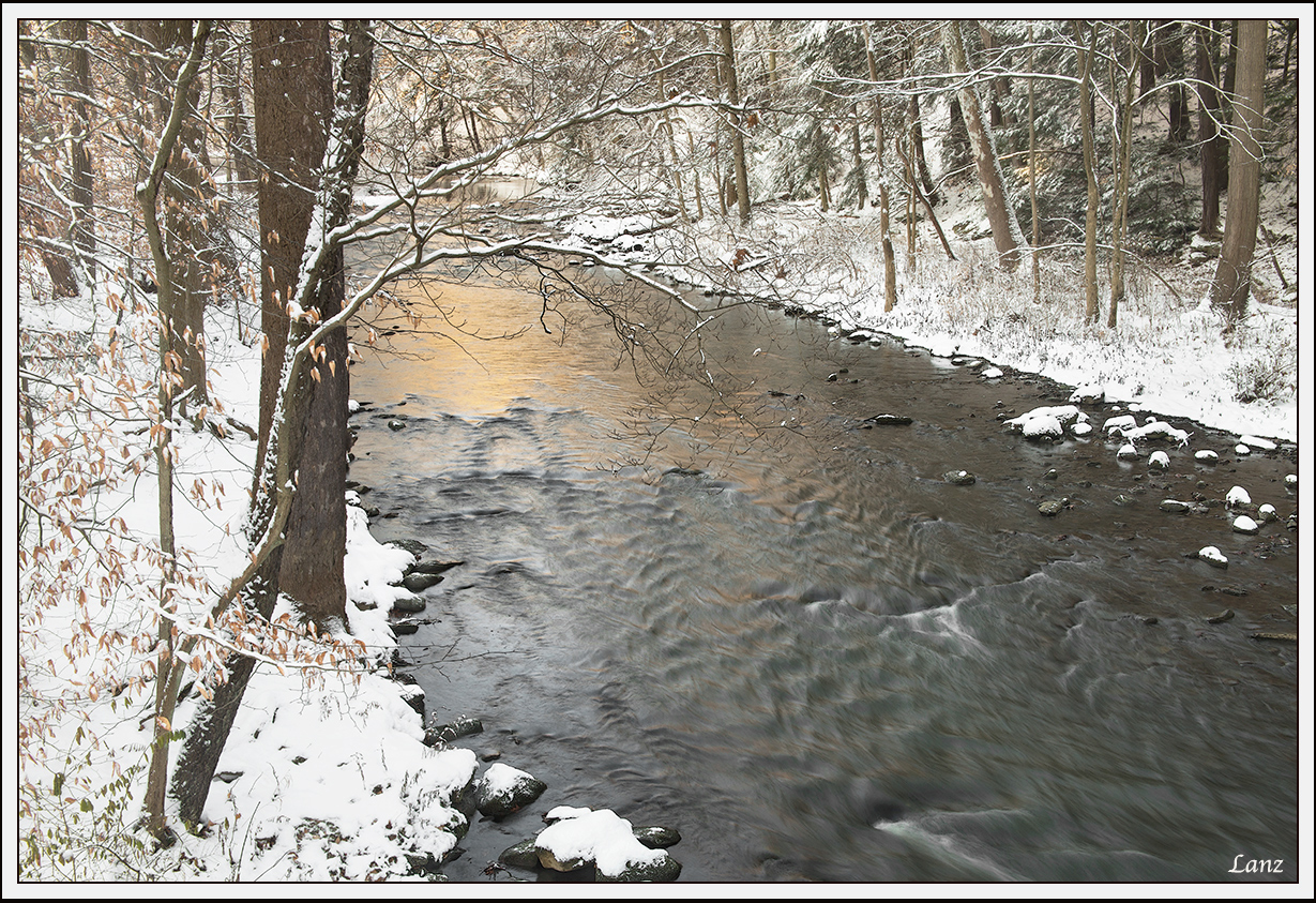 Winter's Glow
