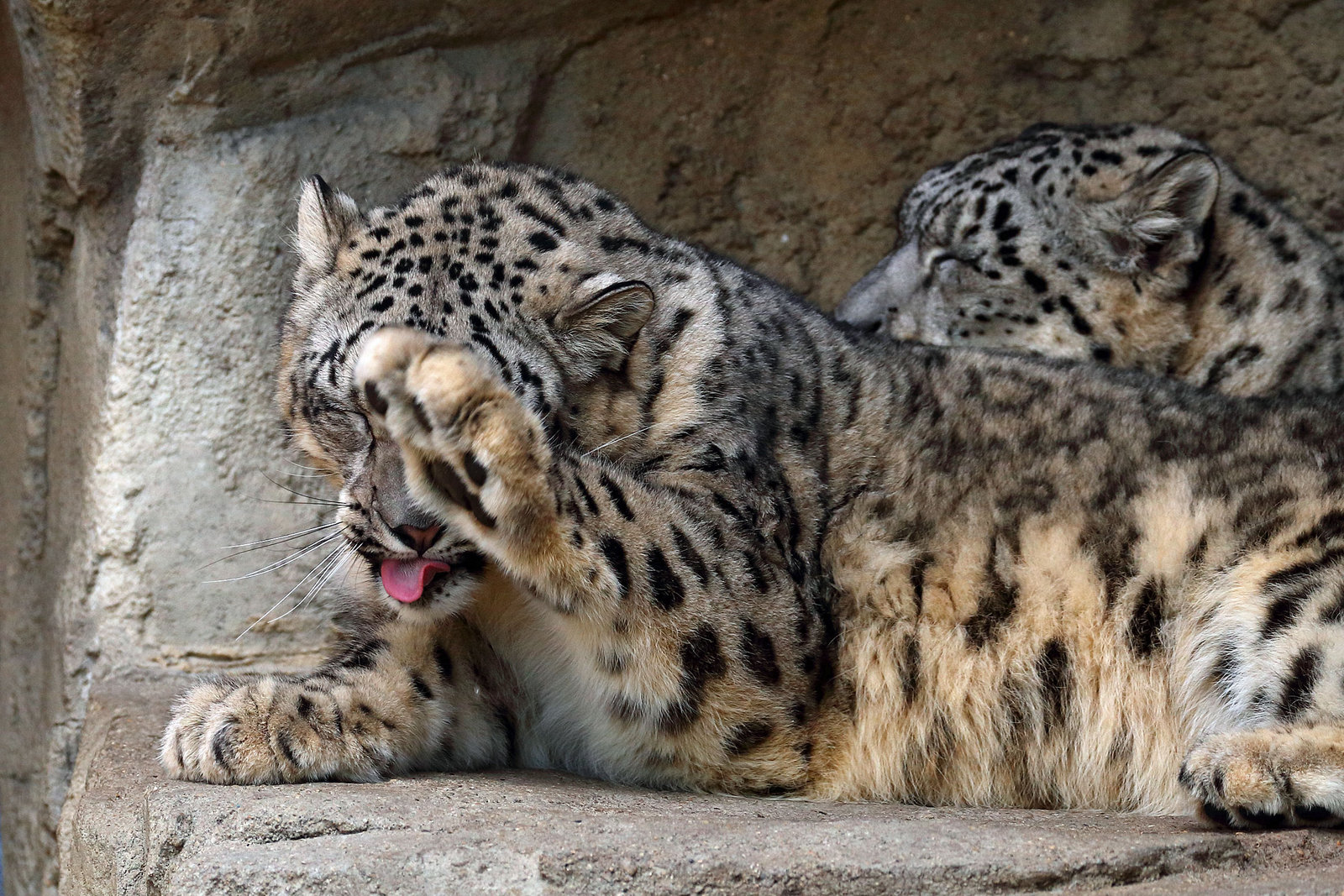 NO Photos please!