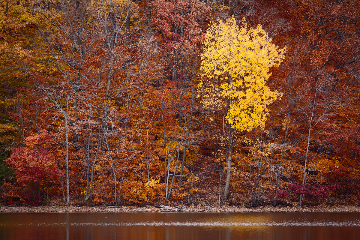 Late Autumn