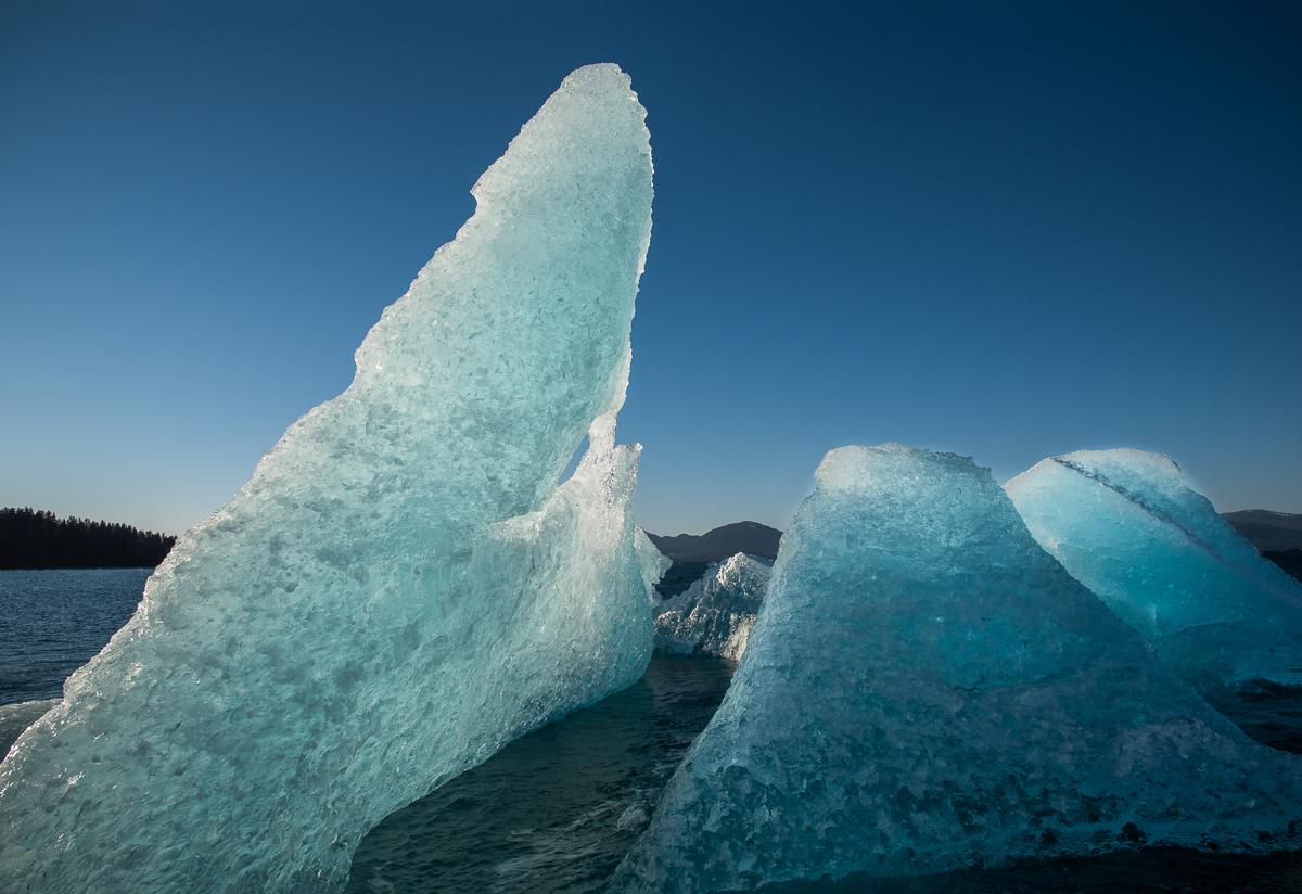 Iceberg
