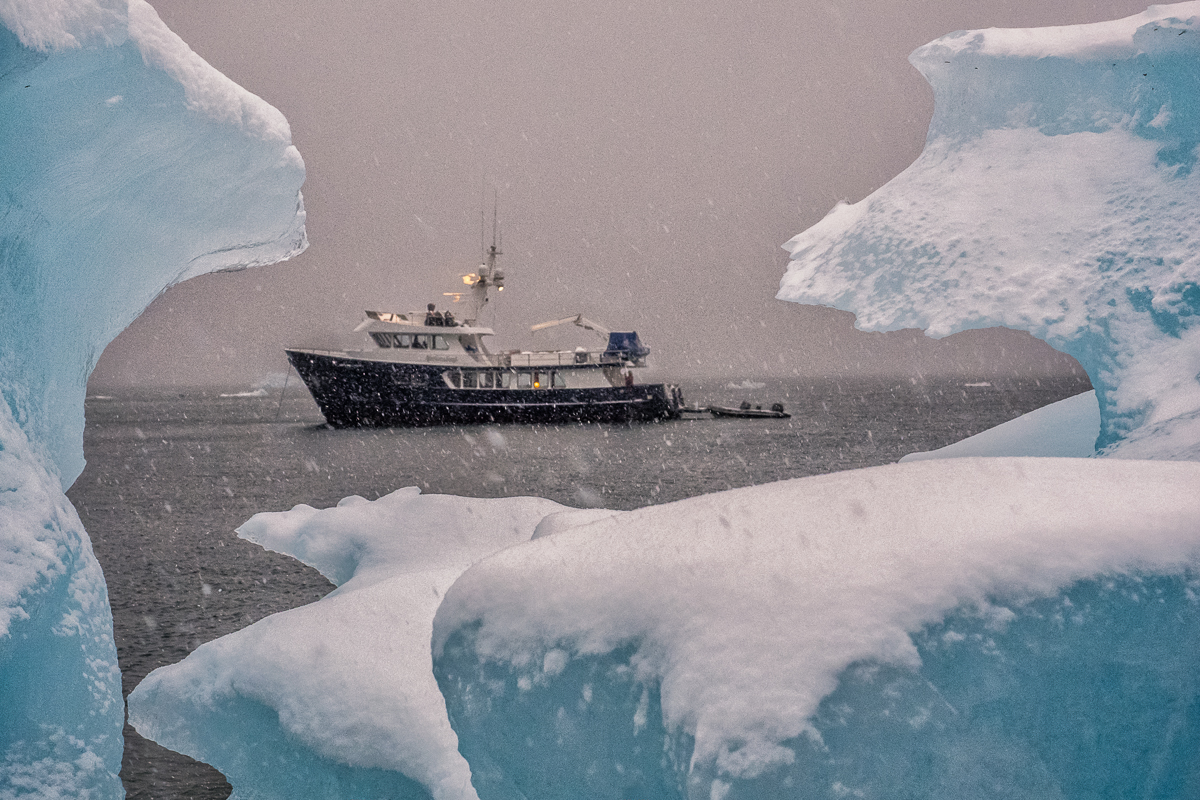Icebergs and Boat