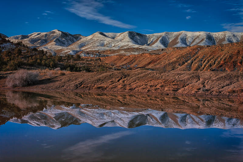 Snowy Reflection