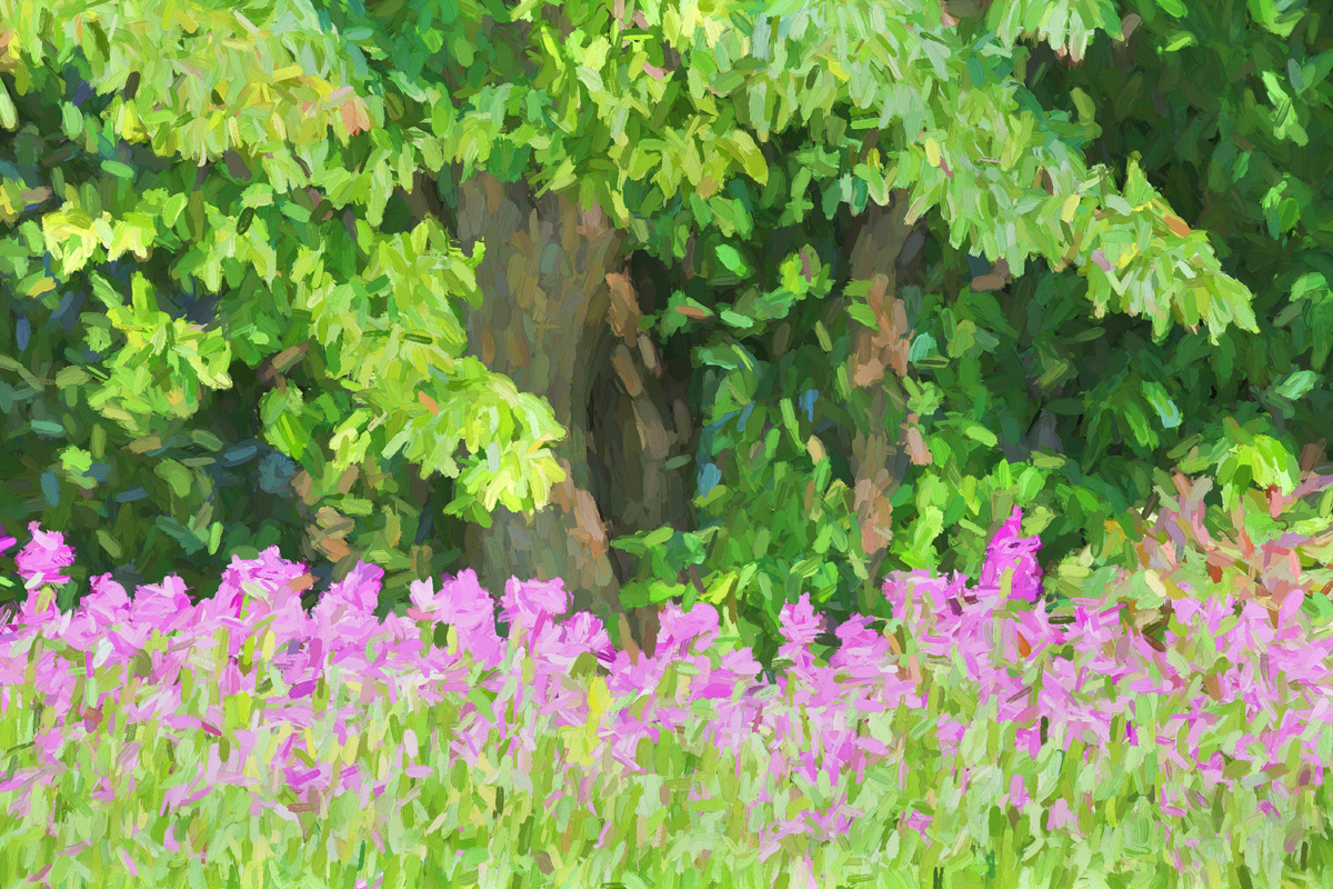 Summer Flowers
