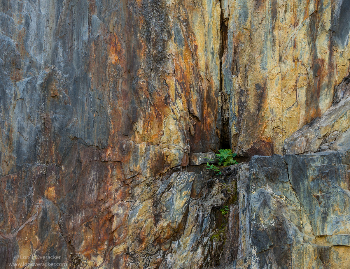 Rock of Life....