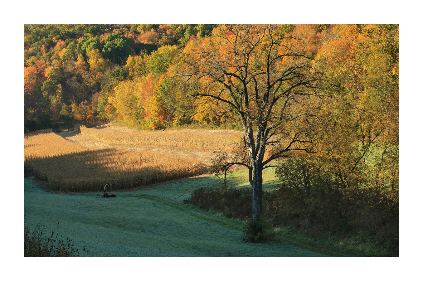 Cool Autumn Morning