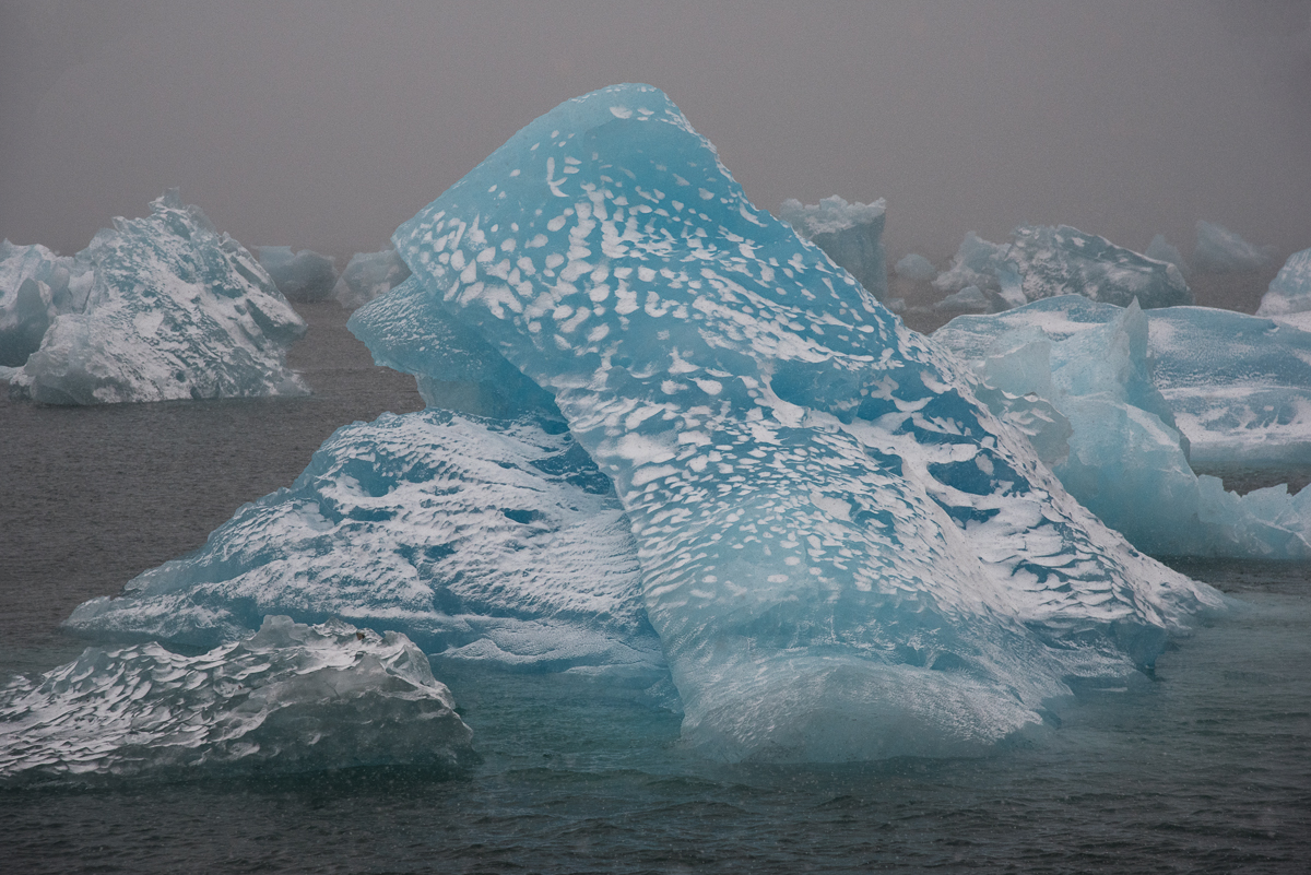 Iceberg Field