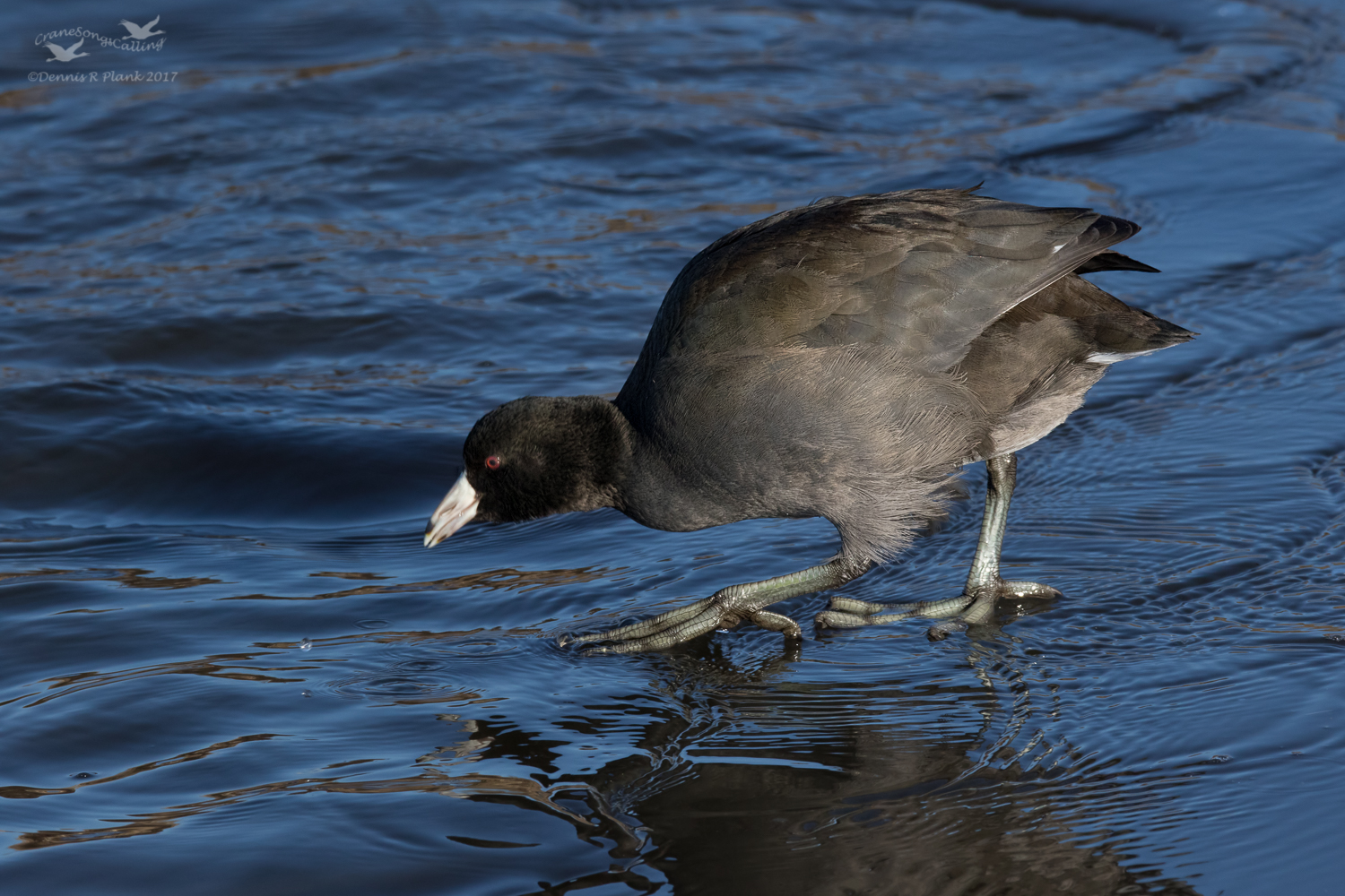 Testing the Water