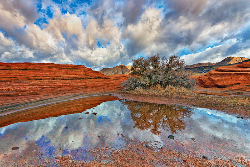 Snow Canyon State Park 