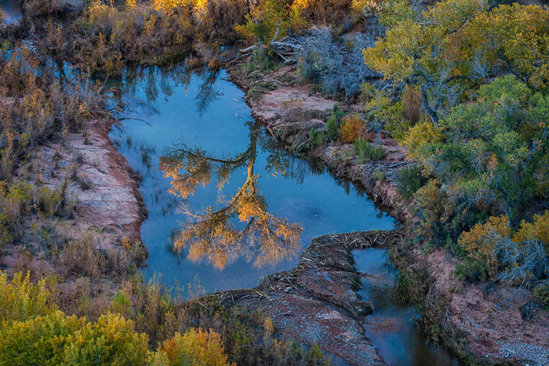Beaver Dam