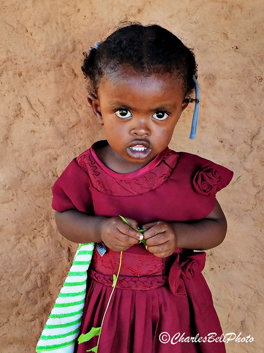 Madagascar Beauty