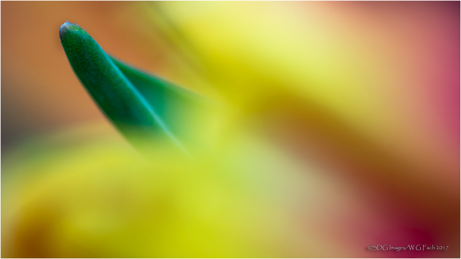 Emerging