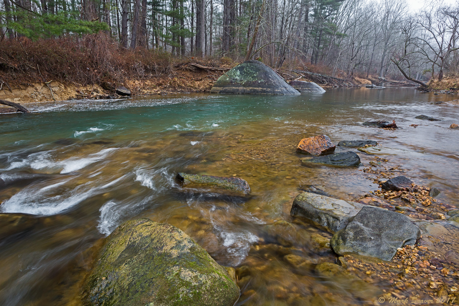Winter Patuxent