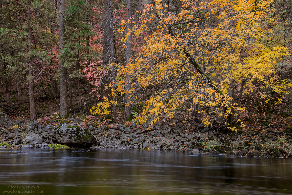 Merced River Scenic #793