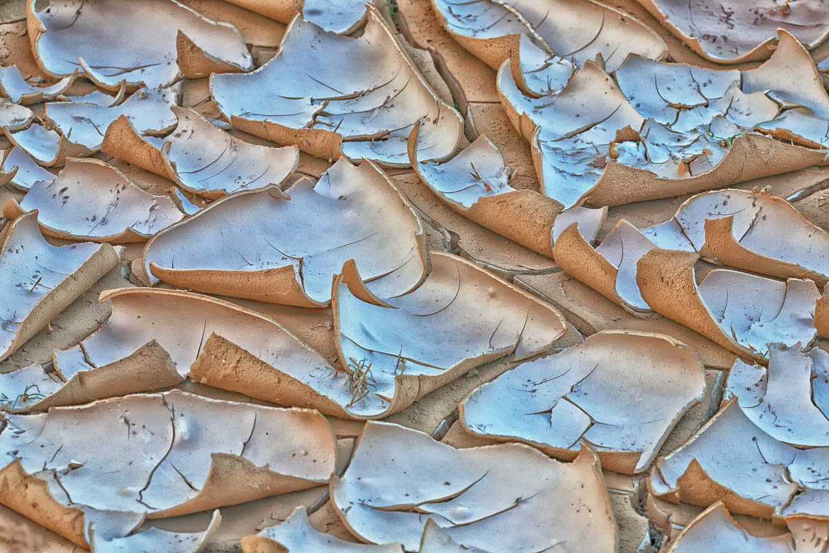 Cracked Mud