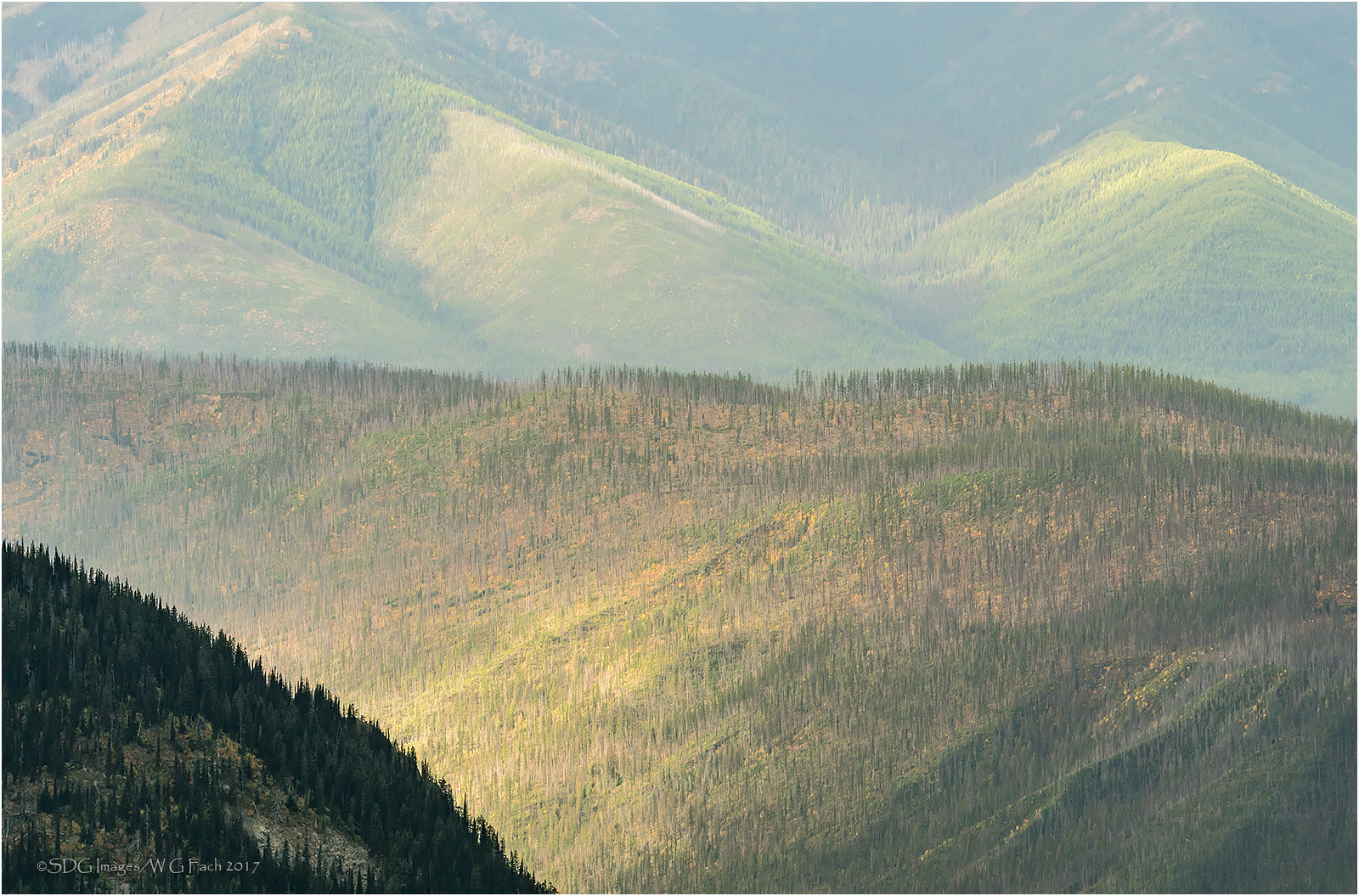 Long View