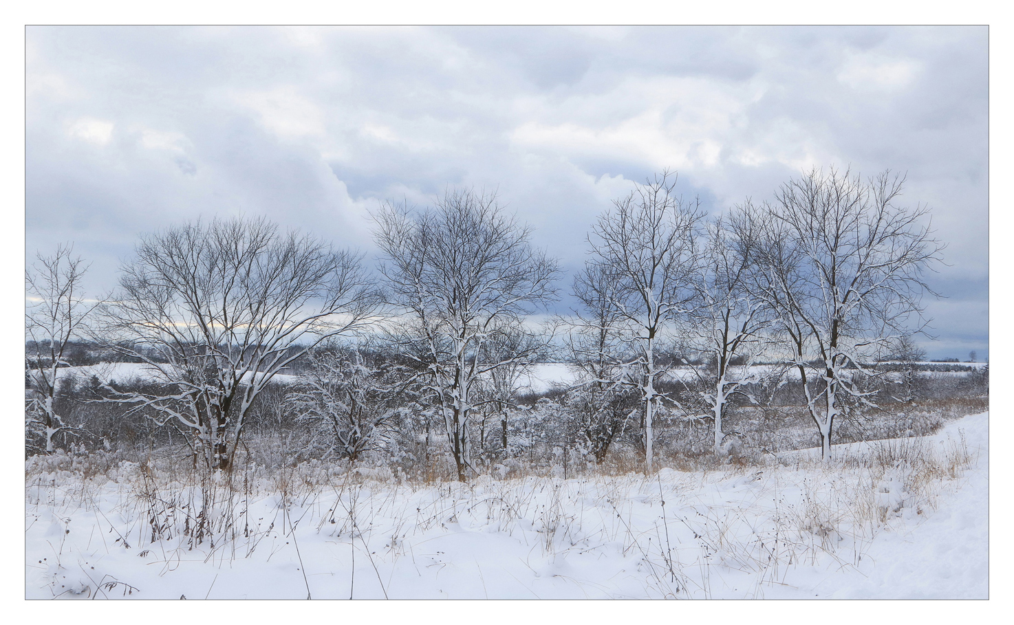After the Snow + rp